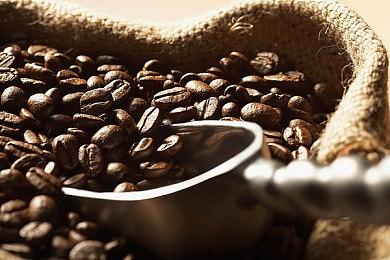 Furia战队加冕《彩虹六号Re：Load》2025锦标赛全球冠军